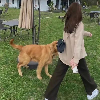 你将在阴影中
