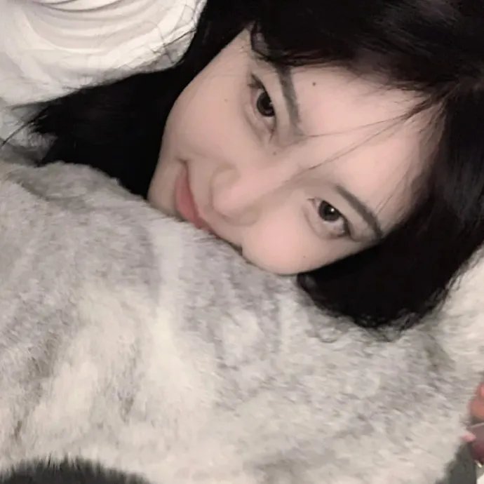 风骚律师第三季